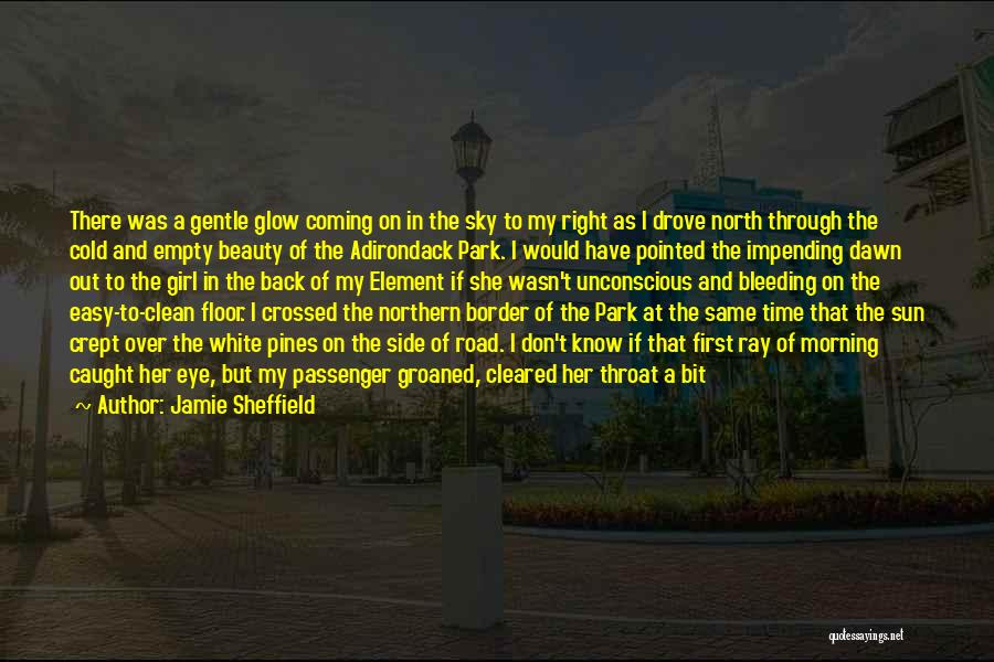 Beauty In The Morning Quotes By Jamie Sheffield
