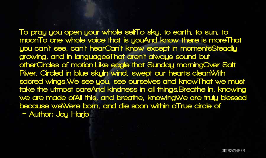 Beauty In The Morning Quotes By Joy Harjo