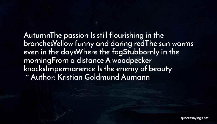 Beauty In The Morning Quotes By Kristian Goldmund Aumann