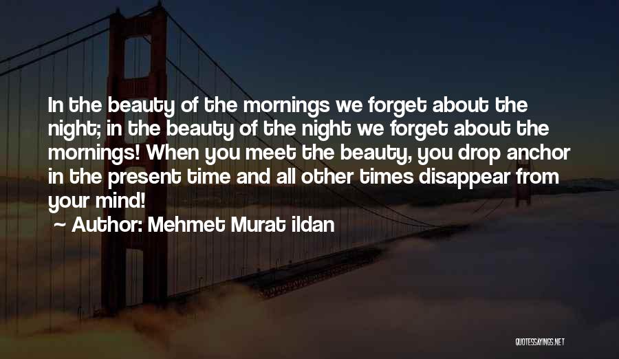 Beauty In The Morning Quotes By Mehmet Murat Ildan