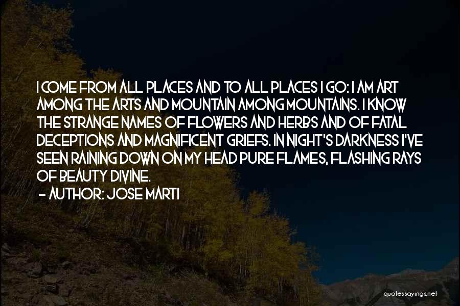 Beauty In The Night Quotes By Jose Marti