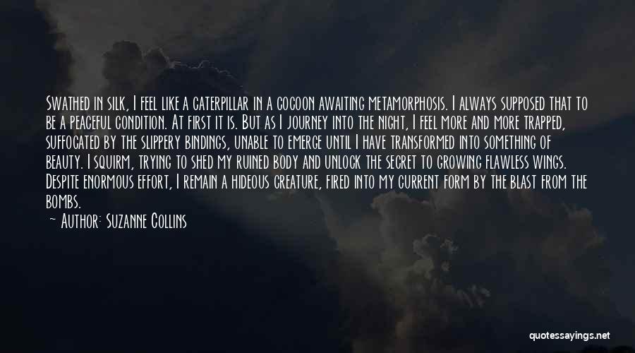 Beauty In The Night Quotes By Suzanne Collins