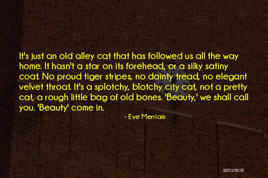 Beauty In The Rough Quotes By Eve Merriam Beauty In The Rough Quotes By Eve Merriam