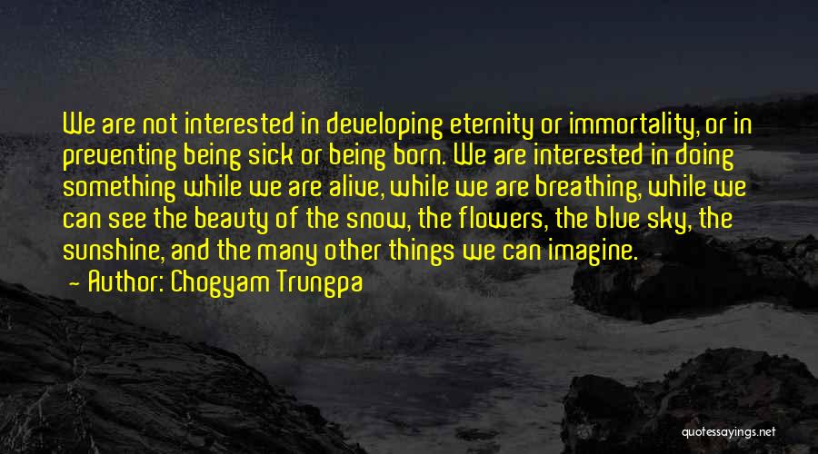 Beauty In The Snow Quotes By Chogyam Trungpa