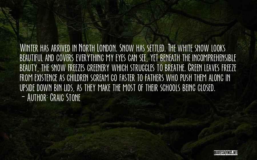 Beauty In The Snow Quotes By Craig Stone