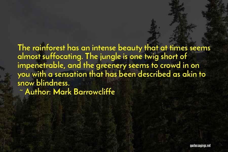 Beauty In The Snow Quotes By Mark Barrowcliffe