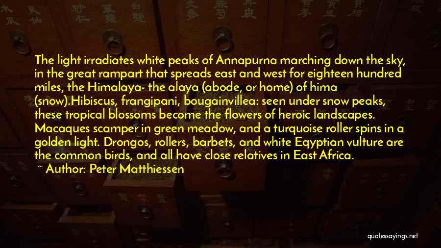 Beauty In The Snow Quotes By Peter Matthiessen Beauty In The Snow Quotes By Peter Matthiessen