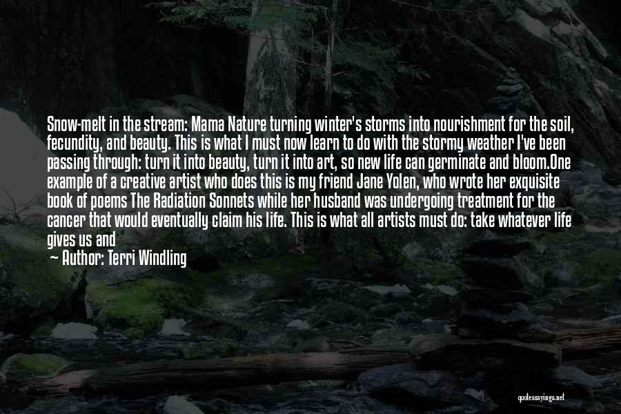 Beauty In The Snow Quotes By Terri Windling