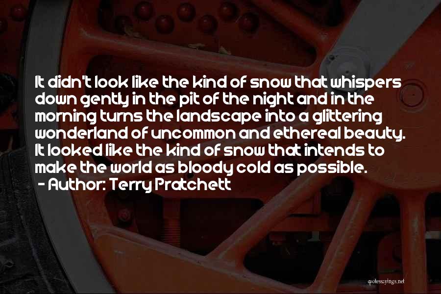 Beauty In The Snow Quotes By Terry Pratchett