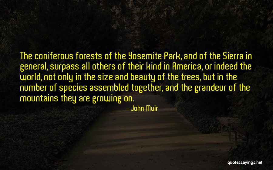 Beauty Indeed Quotes By John Muir