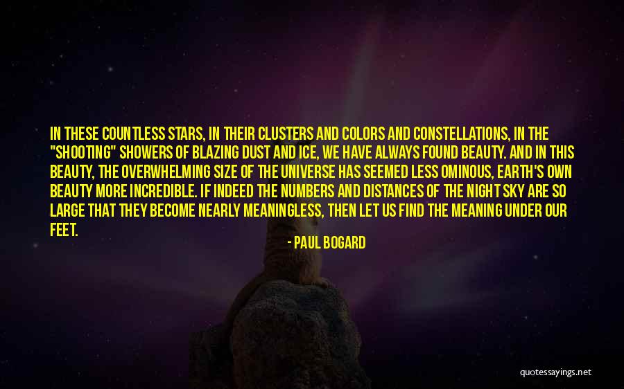 Beauty Indeed Quotes By Paul Bogard