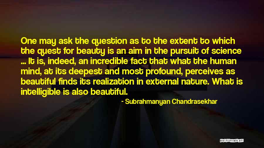 Beauty Indeed Quotes By Subrahmanyan Chandrasekhar