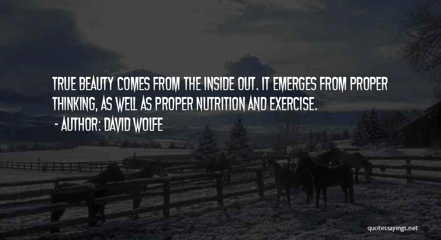 Beauty Inside Quotes By David Wolfe