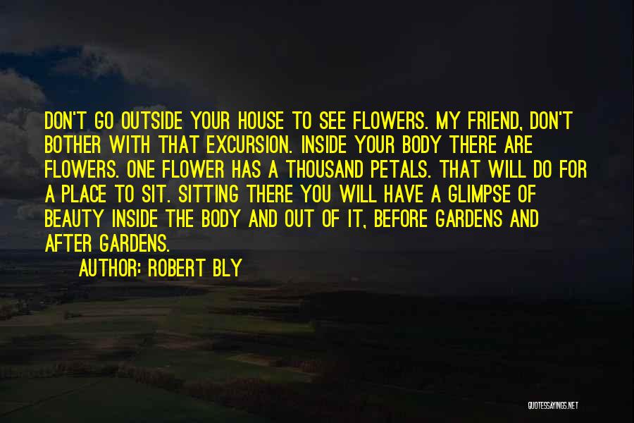 Beauty Inside You Quotes By Robert Bly