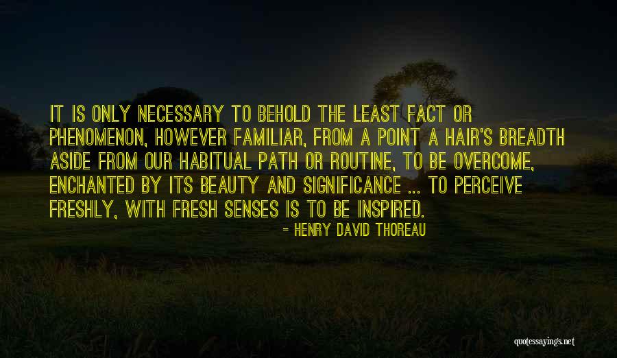 Beauty Inspired Quotes By Henry David Thoreau Beauty Inspired Quotes By Henry David Thoreau