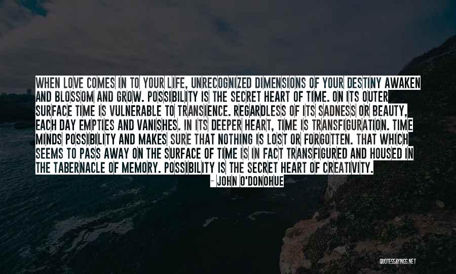 Beauty Is Deeper Quotes By John O'Donohue Beauty Is Deeper Quotes By John O'Donohue