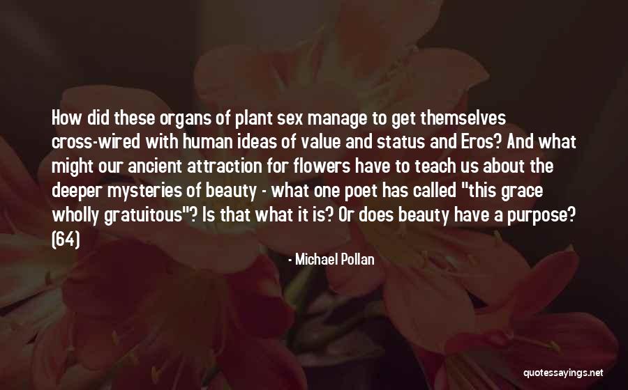 Beauty Is Deeper Quotes By Michael Pollan Beauty Is Deeper Quotes By Michael Pollan