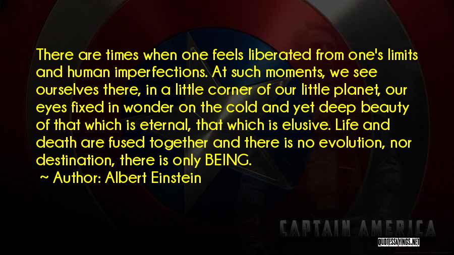 Beauty Is Eternal Quotes By Albert Einstein