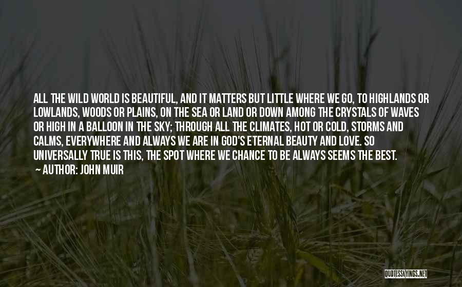 Beauty Is Eternal Quotes By John Muir