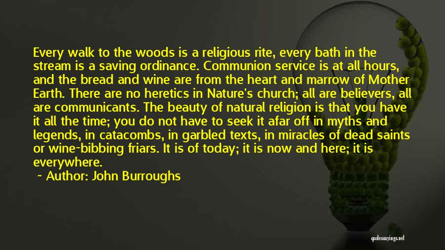 Beauty Is Everywhere Quotes By John Burroughs