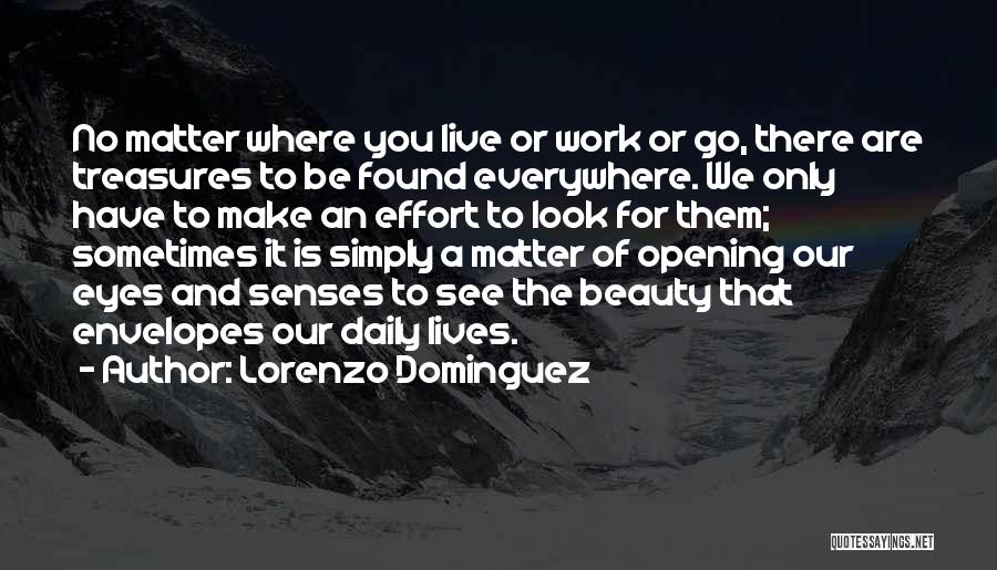Beauty Is Everywhere Quotes By Lorenzo Dominguez
