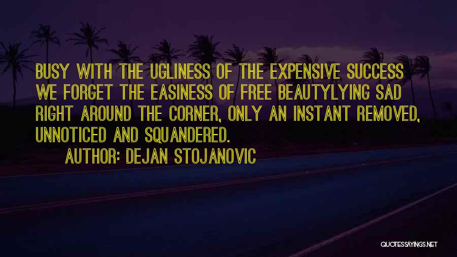 Beauty Is Expensive Quotes By Dejan Stojanovic