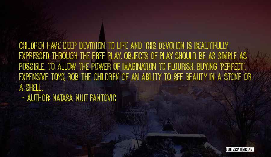 Beauty Is Expensive Quotes By Natasa Nuit Pantovic