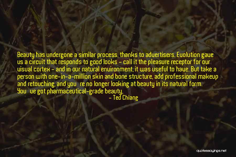 Beauty Is More Than Looks Quotes By Ted Chiang