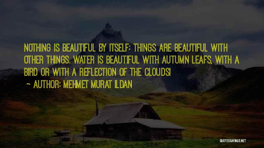 Beauty Is Nothing Quotes By Mehmet Murat Ildan