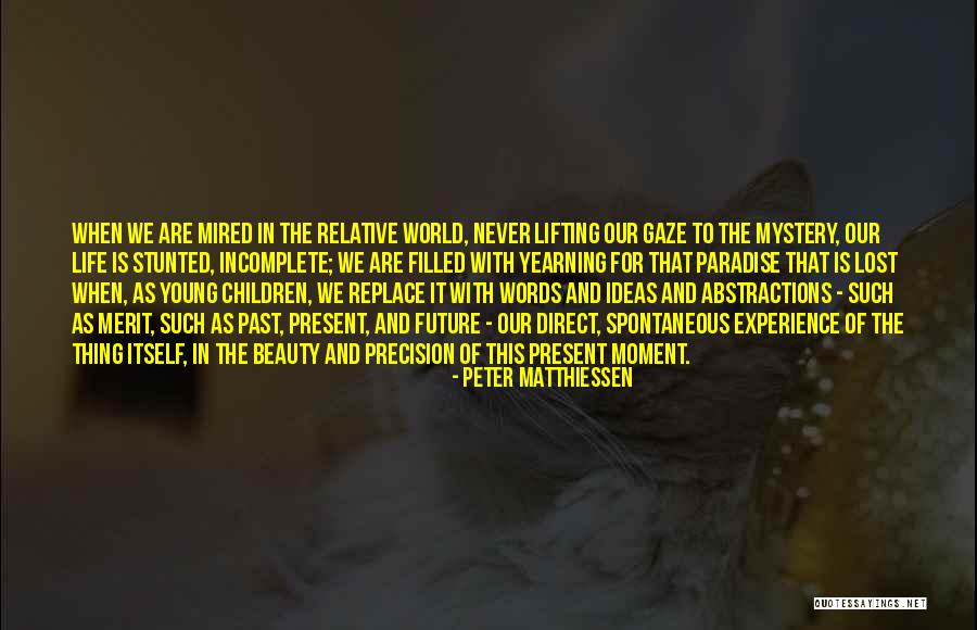 Beauty Is Relative Quotes By Peter Matthiessen Beauty Is Relative Quotes By Peter Matthiessen