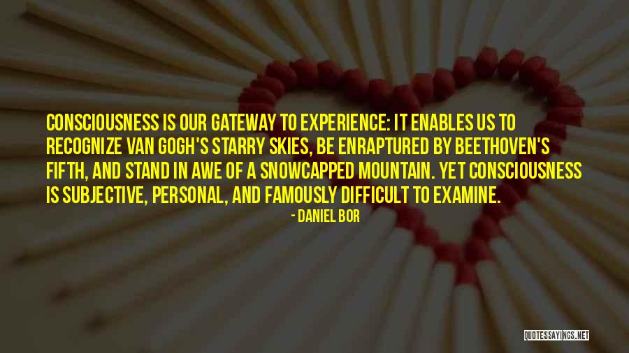 Beauty Is Subjective Quotes By Daniel Bor Beauty Is Subjective Quotes By Daniel Bor