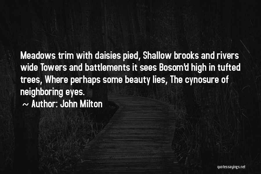 Beauty Lies In Eyes Quotes By John Milton