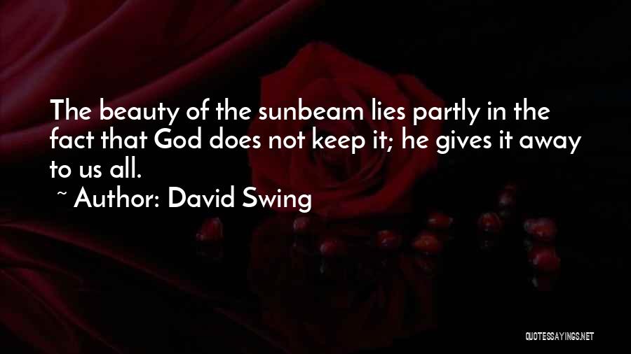 Beauty Lies Quotes By David Swing