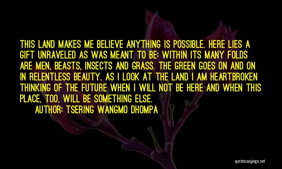 Beauty Lies Within Quotes By Tsering Wangmo Dhompa