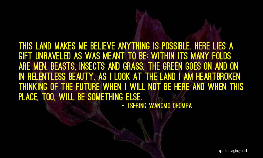 Beauty Lies Within Quotes By Tsering Wangmo Dhompa