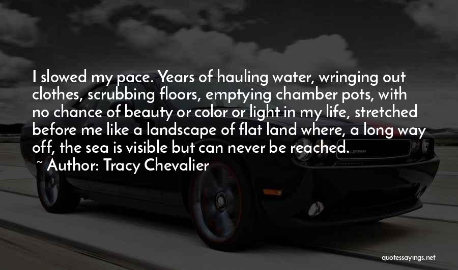 Beauty Light Quotes By Tracy Chevalier