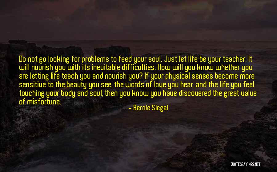 Beauty Love And Life Quotes By Bernie Siegel