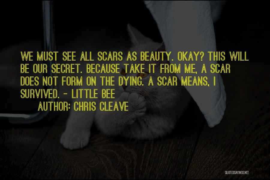 Beauty Means Quotes By Chris Cleave