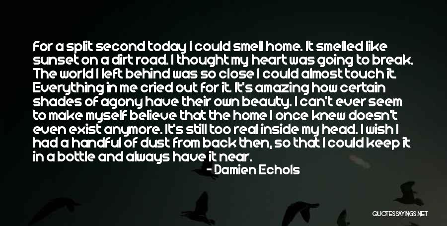 Beauty Of A Sunset Quotes By Damien Echols Beauty Of A Sunset Quotes By Damien Echols