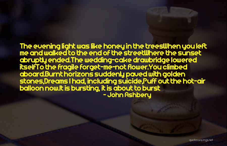 Beauty Of A Sunset Quotes By John Ashbery Beauty Of A Sunset Quotes By John Ashbery