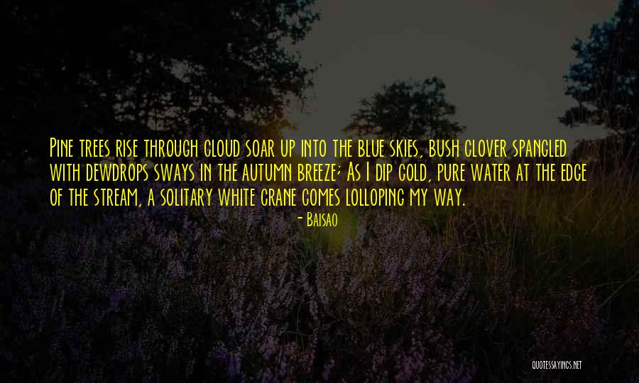 Beauty Of Autumn Quotes By Baisao Beauty Of Autumn Quotes By Baisao