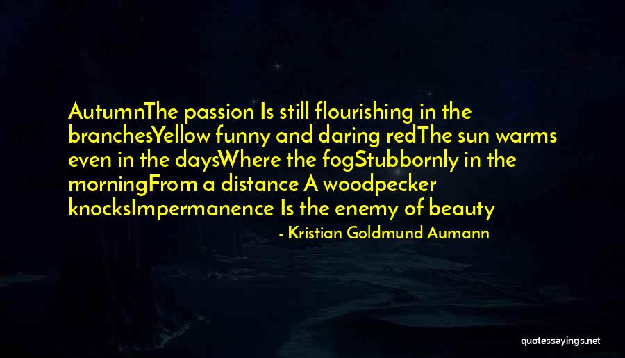 Beauty Of Autumn Quotes By Kristian Goldmund Aumann Beauty Of Autumn Quotes By Kristian Goldmund Aumann
