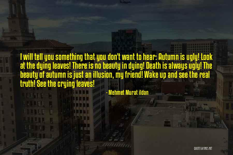 Beauty Of Autumn Quotes By Mehmet Murat Ildan Beauty Of Autumn Quotes By Mehmet Murat Ildan