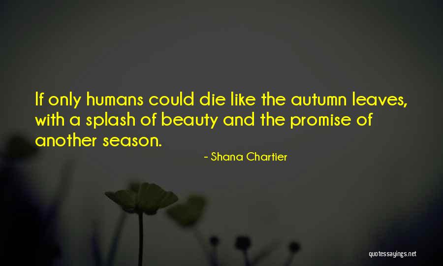 Beauty Of Autumn Quotes By Shana Chartier Beauty Of Autumn Quotes By Shana Chartier