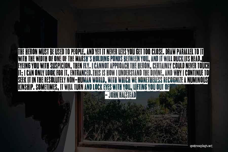 Beauty Of Being Single Quotes By John Halstead Beauty Of Being Single Quotes By John Halstead