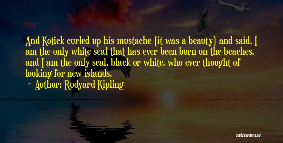 Beauty Of Black And White Quotes By Rudyard Kipling