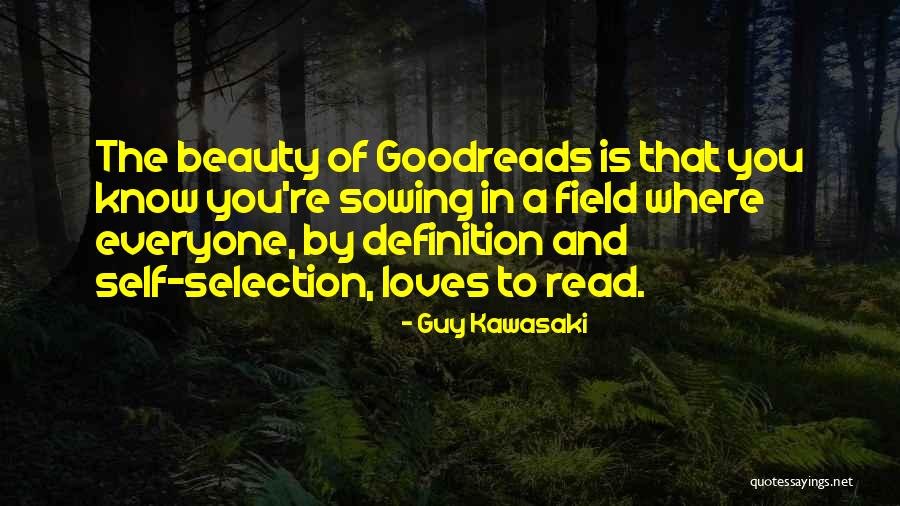 Beauty Of Guy Quotes By Guy Kawasaki Beauty Of Guy Quotes By Guy Kawasaki