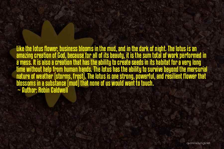 Beauty Of Human Nature Quotes By Robin Caldwell