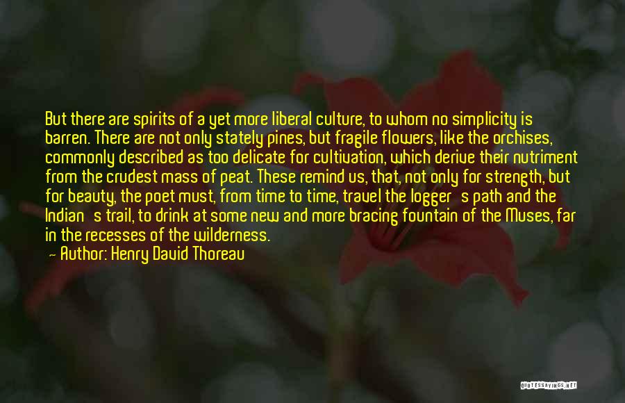 Beauty Of Indian Culture Quotes By Henry David Thoreau