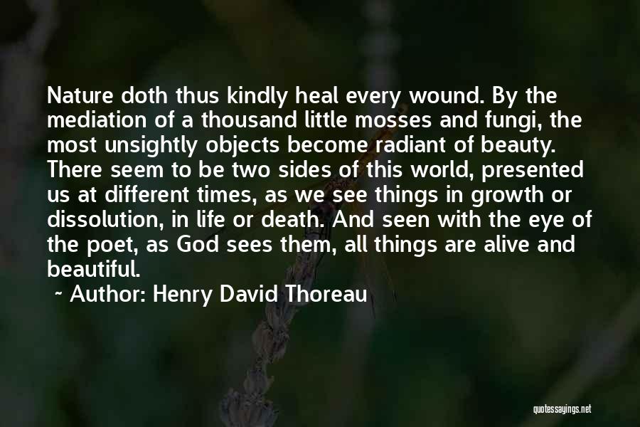 Beauty Of Nature And Life Quotes By Henry David Thoreau